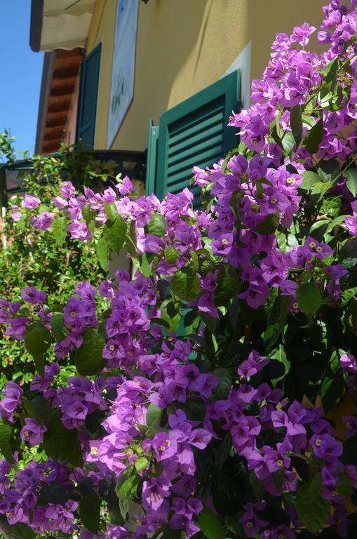La Meridiana Affittacamere Colorno Dış mekan fotoğraf